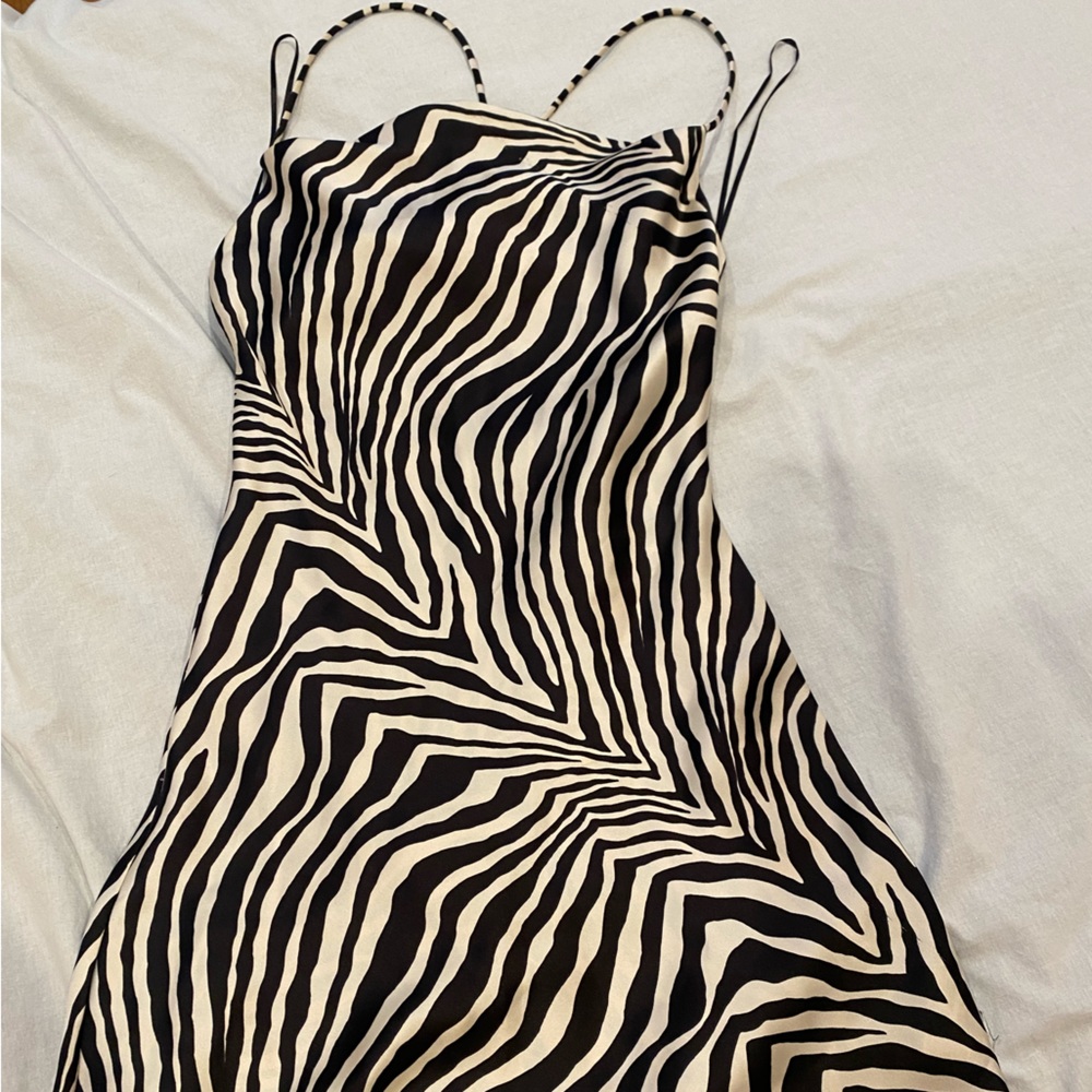 Zara dress